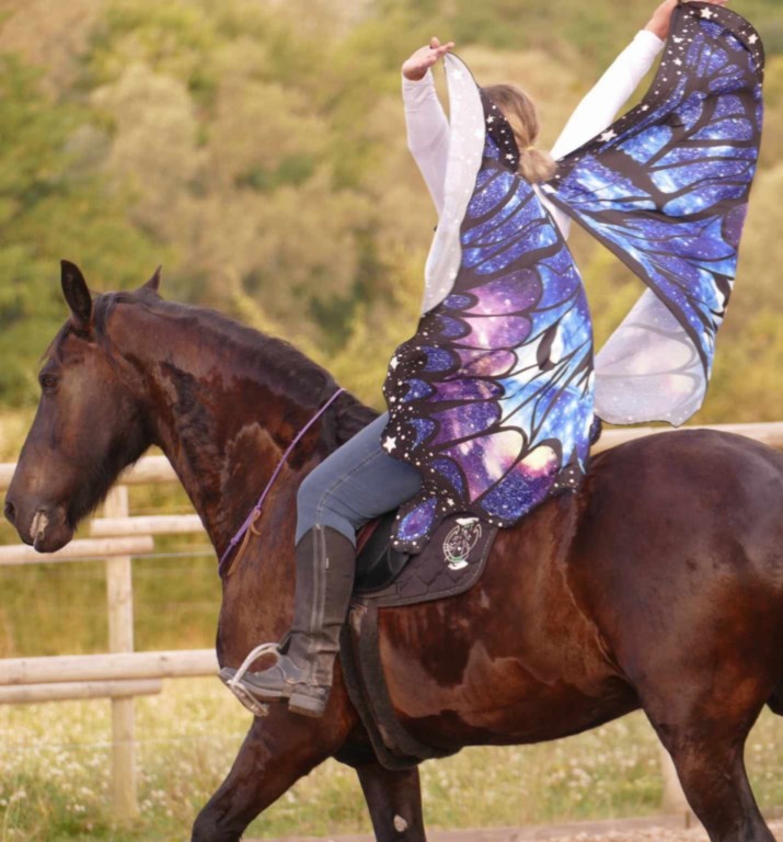 L'envol du papillon Femme avec ailes de papillons sur cheval noir