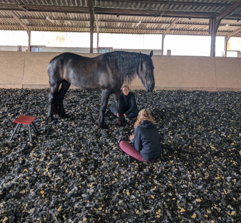 Deux Femme assise de chaque coté d'un cheval 