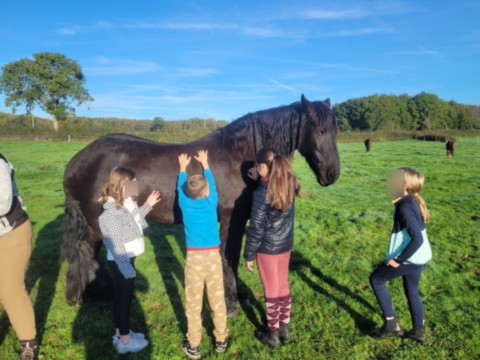 Arod et les enfants Enfant vu de dos qui caressent un cheval Noir