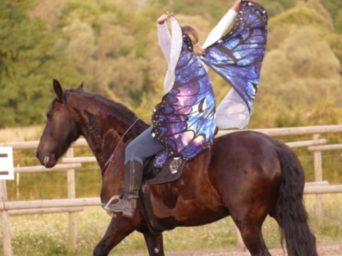 De chenille à papillon Femme à cheval avec aile de papillon