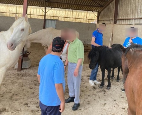 Visite des papillons blancs Groupe de personne au milieu des chevaux