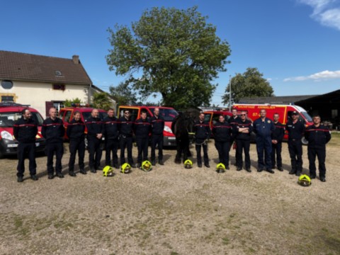 Entrainement des pompiers Groupe de pompiers avec un cheval