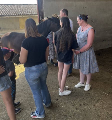 Découvrir le troupeau Groupe de gens autour d'un cheval