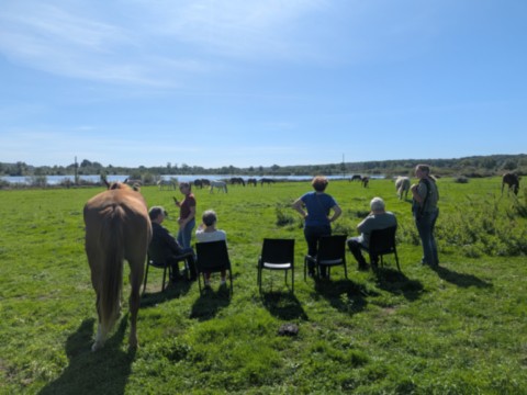 Les visites immersives Groupe de personne vu de dos avec chevaux, troupeau en fond et lac