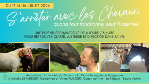 Constellation Affiche constellation familiale avec les chevaux